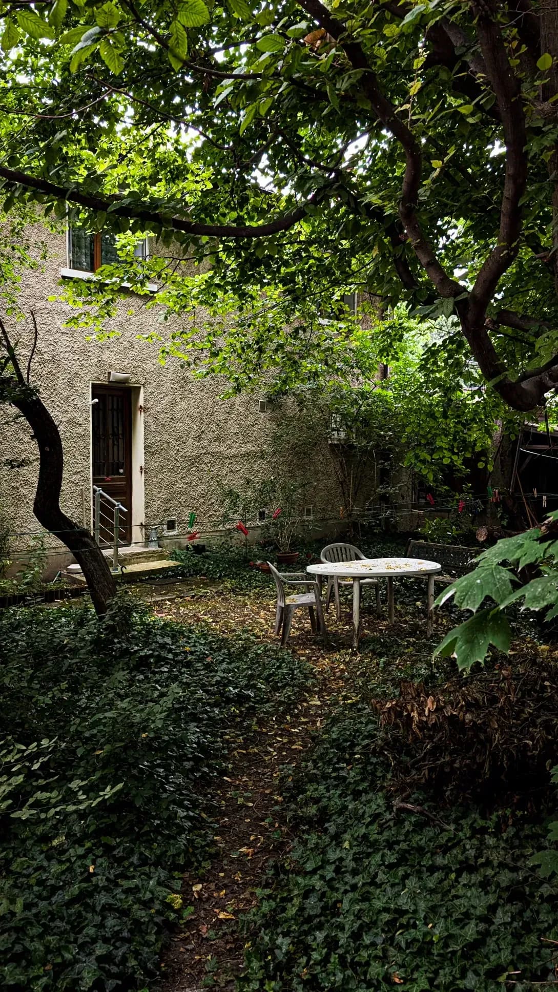 Préparer son jardin de printemps : les gestes essentiels