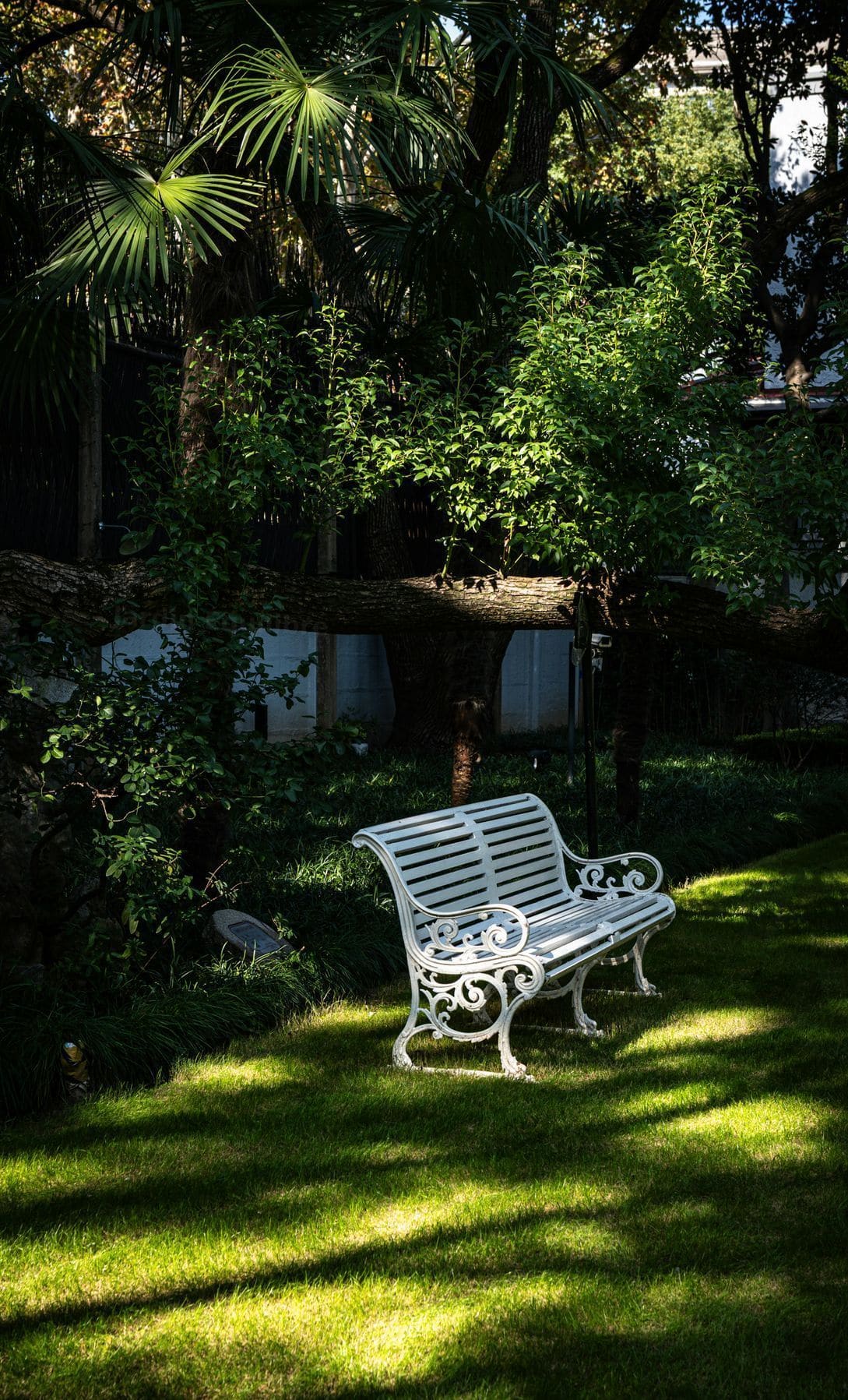 Jardin Équilibre 13